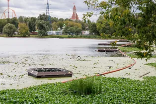 Как Москва испытывает биосорбционные модули для защиты городских водоемов Как Москва испытывает биосорбционные модули для защиты городских водоемов