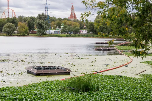 Как Москва испытывает биосорбционные модули для защиты городских водоемов Как Москва испытывает биосорбционные модули для защиты городских водоемов