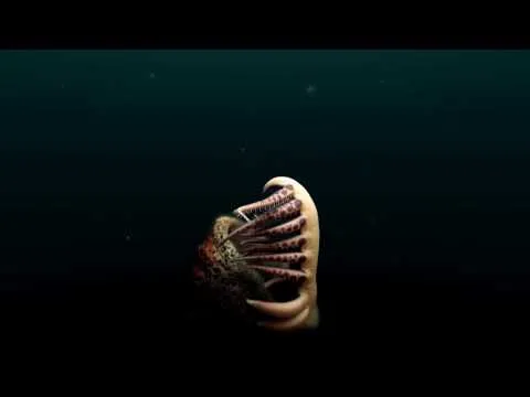 Нажми и смотри Нажми и смотри