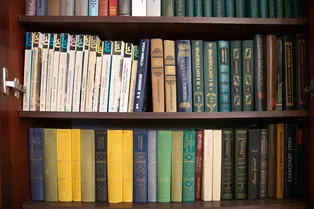 Где учился Ленский? А сколько языков знал Мастер? Тест: насколько хорошо вы знаете русскую классику