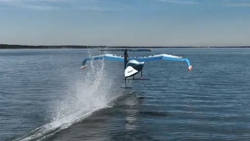 viceroy seaglider