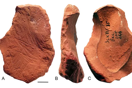 Как кусочки минерала доказали, что неандертальцы были художниками и мыслителями Как кусочки минерала доказали, что неандертальцы были художниками и мыслителями