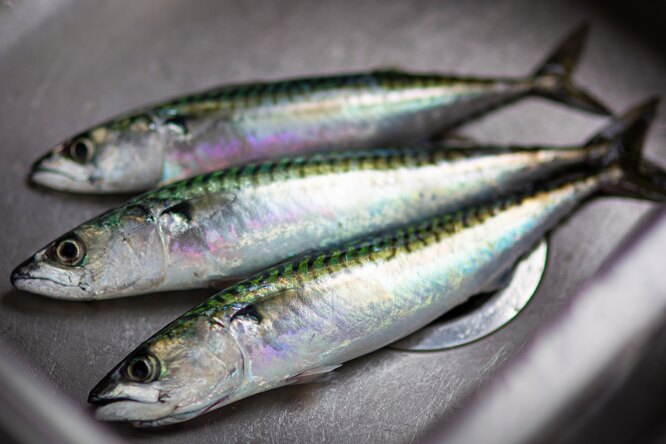 «Такую селедку есть категорически нельзя»: врач предупредил о признаке опасной рыбы
