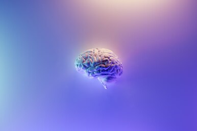 Правда ли, что мозг обрабатывает информацию с 15-секундной задержкой