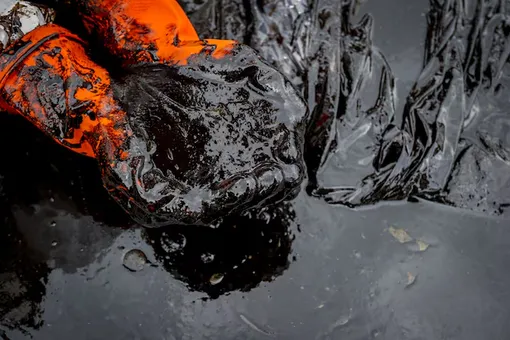 В России создали первый в мире реагент для ликвидации нефтеразливов в тропиках В России создали первый в мире реагент для ликвидации нефтеразливов в тропиках