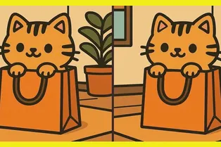 Котик в пакете: сможете найти отличия между двумя картинками?