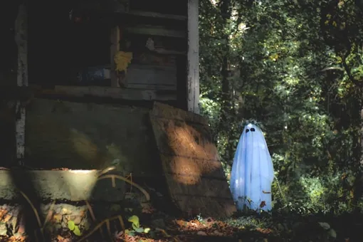 приведение