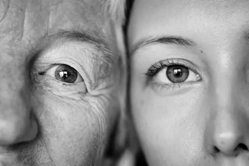 Старение клеток можно замедлить: что выяснили ученые Старение клеток можно замедлить: что выяснили ученые