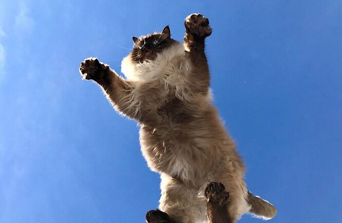 3a0eb15a54ac8fcf4aea4045634b5d93_cropped