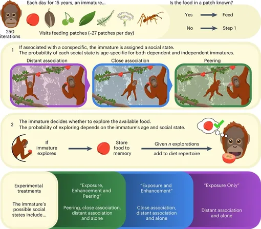 Структура эксперимента с агентной виртуальной моделью.