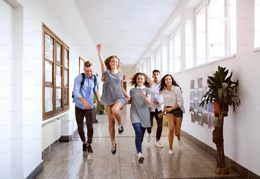 Мозг остается «подростком» до 30 лет.