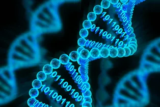 Жесткий диск из ДНК: ученые смогли использовать микрокапсулы для сохранения информации Жесткий диск из ДНК: ученые смогли использовать микрокапсулы для сохранения информации