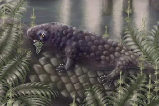 Наземные животные попробовали растительную пищу 307 миллионов лет назад Наземные животные попробовали растительную пищу 307 миллионов лет назад