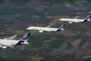 Авиационный парад от Airbus: видео Авиационный парад от Airbus: видео