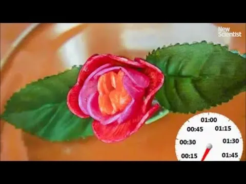 Нажми и смотри