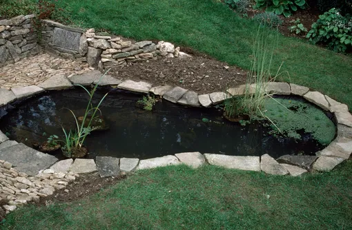 Самодельный пруд Самодельный пруд