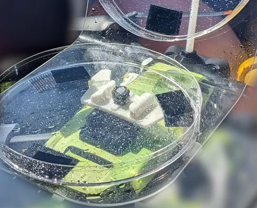 Дрон с прикрепленной к нему чашкой Петри пролетает над китом, чтобы собрать его выдох и дыхательные капли. Дрон с прикрепленной к нему чашкой Петри пролетает над китом, чтобы собрать его выдох и дыхательные капли.