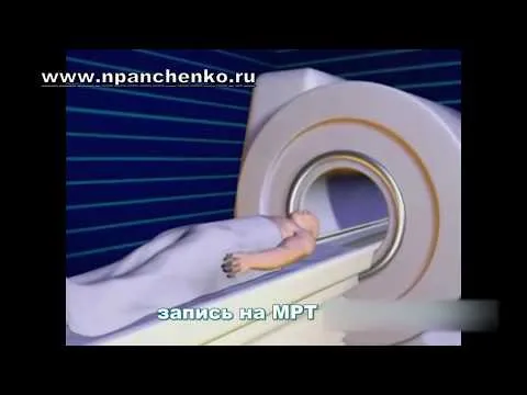 Нажми и смотри