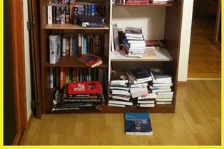 Коты решили поиграть в прятки! На этом снимке скрываются целых двое хвостатых: попытайтесь их найти