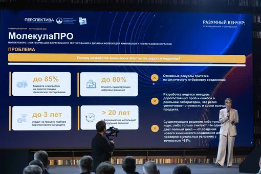 Финалист конкурса, проект «Молекула ПРО»