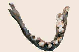 Древние жители Южной Африки были отделены от человечества 100 000 лет