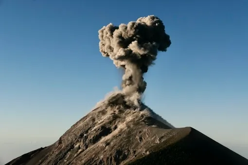 Вулканы, голод и холод: новое исследование объясняет, как чума пришла в Европу