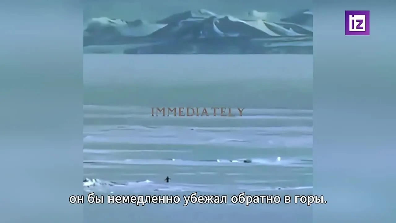Нажми и смотри