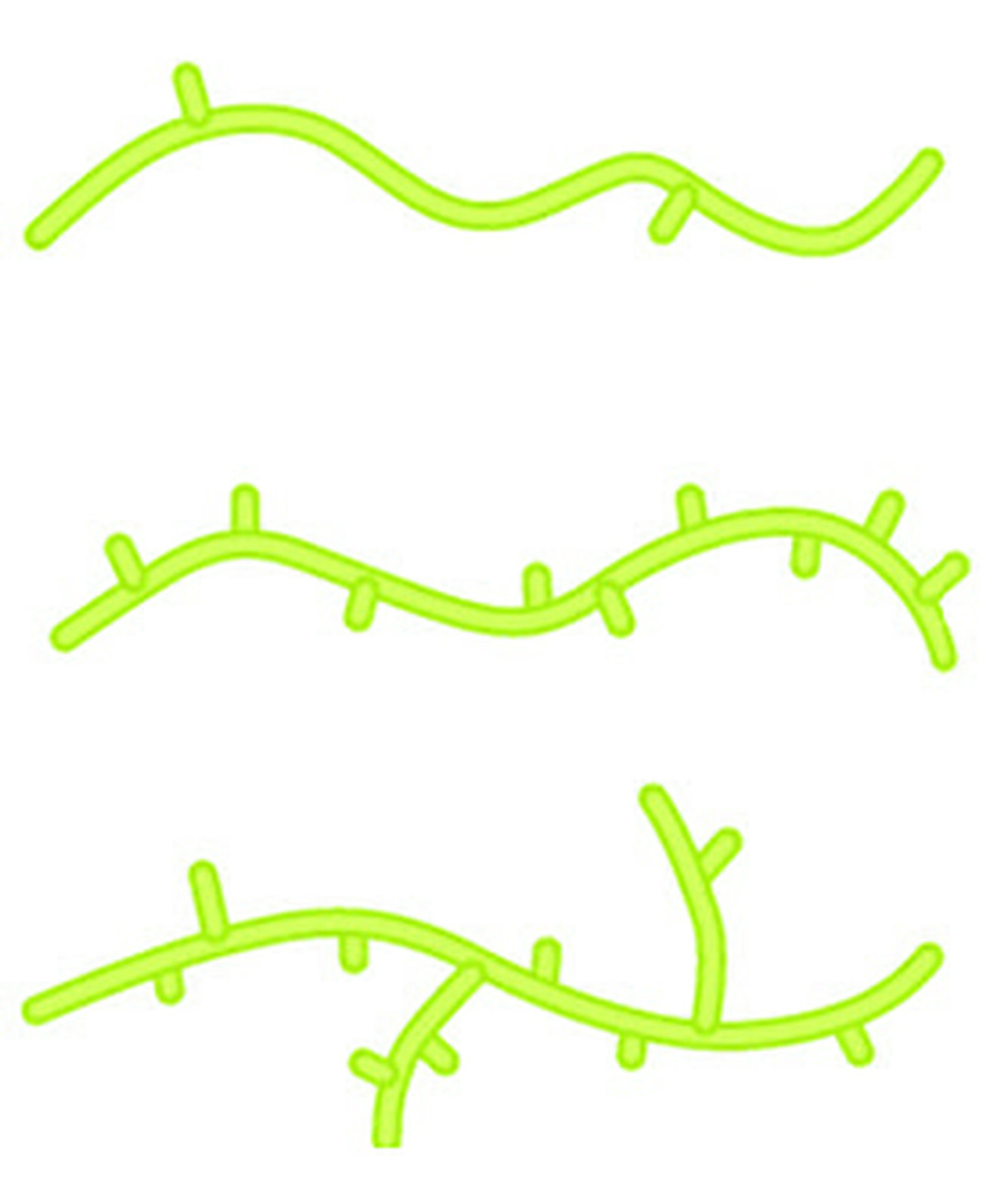 Что такое полиэтилен