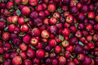 Эти продукты помогут оставаться умственно и физически здоровыми после 60 лет Эти продукты помогут оставаться умственно и физически здоровыми после 60 лет