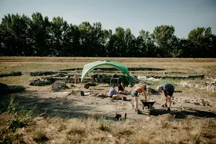 Слоны Ганнибала, древние игры и колючий динозавр: главные новости сегодня