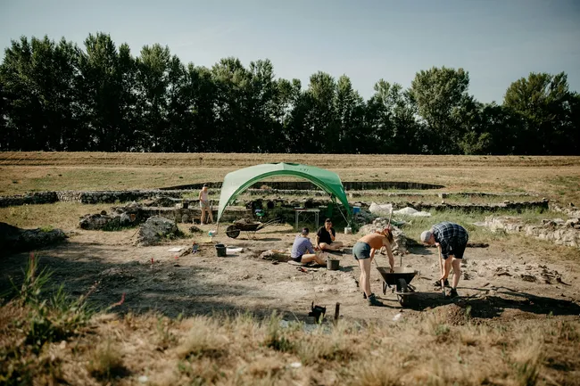 Слоны Ганнибала, древние игры и колючий динозавр: главные новости сегодня