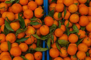 Создаем новогоднее настроение: как выбрать самые вкусные мандарины