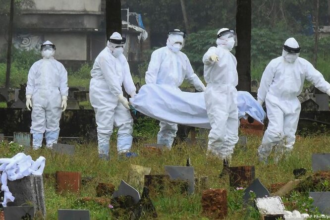 Насколько на самом деле опасен вирус Нипах Насколько на самом деле опасен вирус Нипах