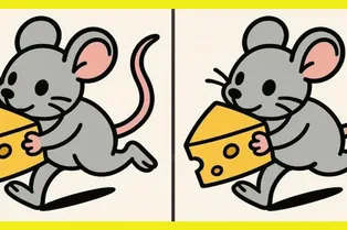 Мышка украла сыр: сможете найти 3 отличия между рисунками?
