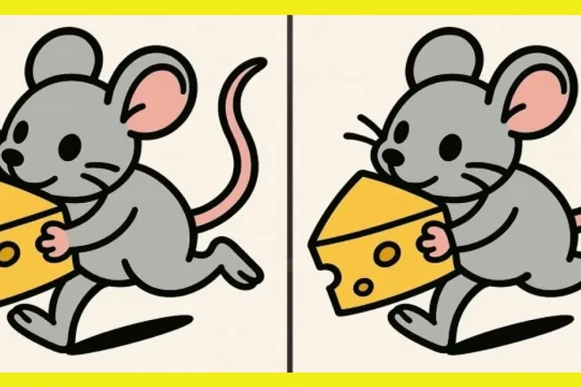 Мышка украла сыр: сможете найти 3 отличия между рисунками?