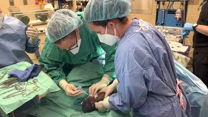 Нажми и смотри Нажми и смотри