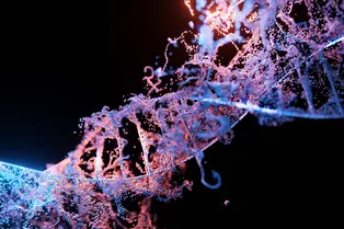 Технология редактирования ДНК CRISPR-Cas пока слишком опасна для использования на геноме человека Технология редактирования ДНК CRISPR-Cas пока слишком опасна для использования на геноме человека