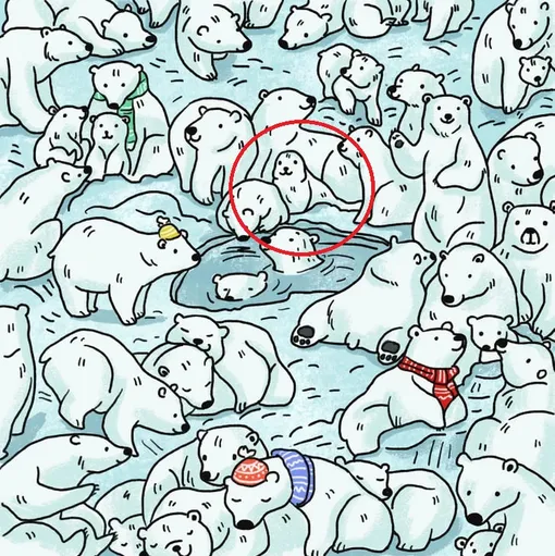 Вот же он! Вот же он!