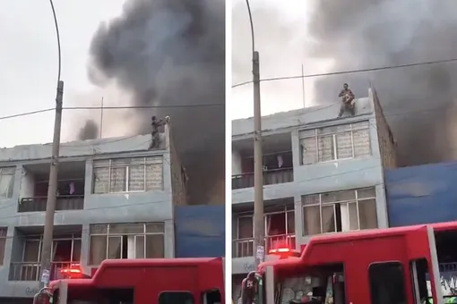 Пожарные были готовы принимать собак внизу Пожарные