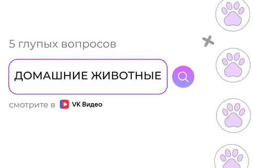 Как понять, что кошка вас любит: новый выпуск видеоподкаста «5 глупых вопросов» уже в сети Как понять, что кошка вас любит: новый выпуск видеоподкаста «5 глупых вопросов» уже в сети