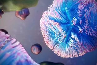 Гигантский вирус проникает в клетку и захватывает аппарат для производства белков Гигантский вирус проникает в клетку и захватывает аппарат для производства белков