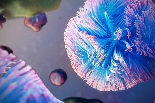 Гигантский вирус проникает в клетку и захватывает аппарат для производства белков Гигантский вирус проникает в клетку и захватывает аппарат для производства белков