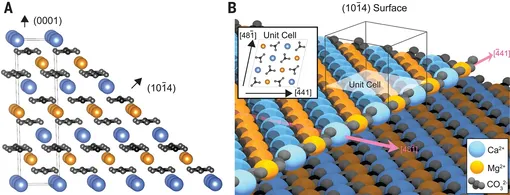Кристаллическая структура доломита и поверхность роста. (A) Ориентация поверхности роста относительно условной элементарной ячейки. (B) край ступени на поверхности роста упорядоченного кристалла доломита. (Вставка) Вид сверху на элементарную ячейку поверхности. В упорядоченном доломите ионы Ca2+ и Mg2+ демонстрируют чередующийся порядок вдоль этого края ступени.