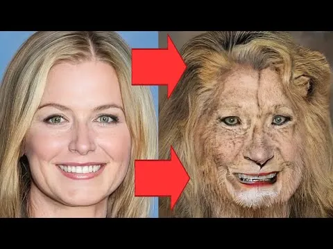 Нажми и смотри Нажми и смотри