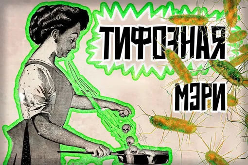 Тифозная Мэри: 26 лет на карантине из-за персикового мороженого Тифозная Мэри: 26 лет на карантине из-за персикового мороженого