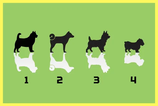 Психологический тест Психологический тест