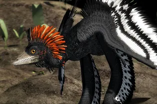 160-миллионные окаменелости рассказали об эволюции полета динозавров и птиц