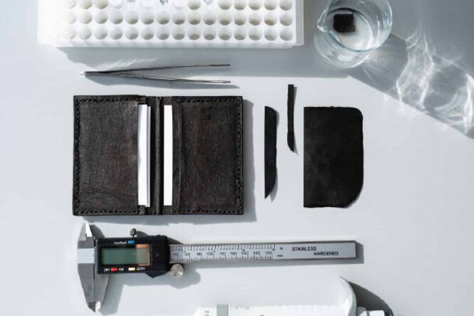 Созданы генно-модифицированные бактерии, которые производят окрашенную веганскую кожу