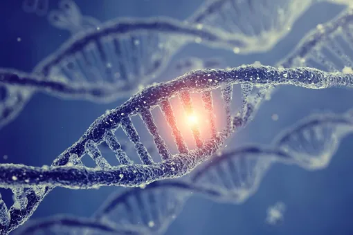 Возможно, полезных мутаций гораздо больше, но они не успевают закрепиться