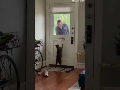 Нажми и смотри
